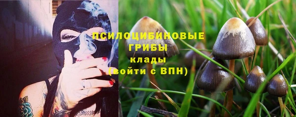 марки lsd Дмитриев
