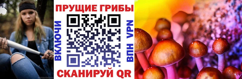 Галлюциногенные грибы MAGIC MUSHROOMS  Зеленокумск 