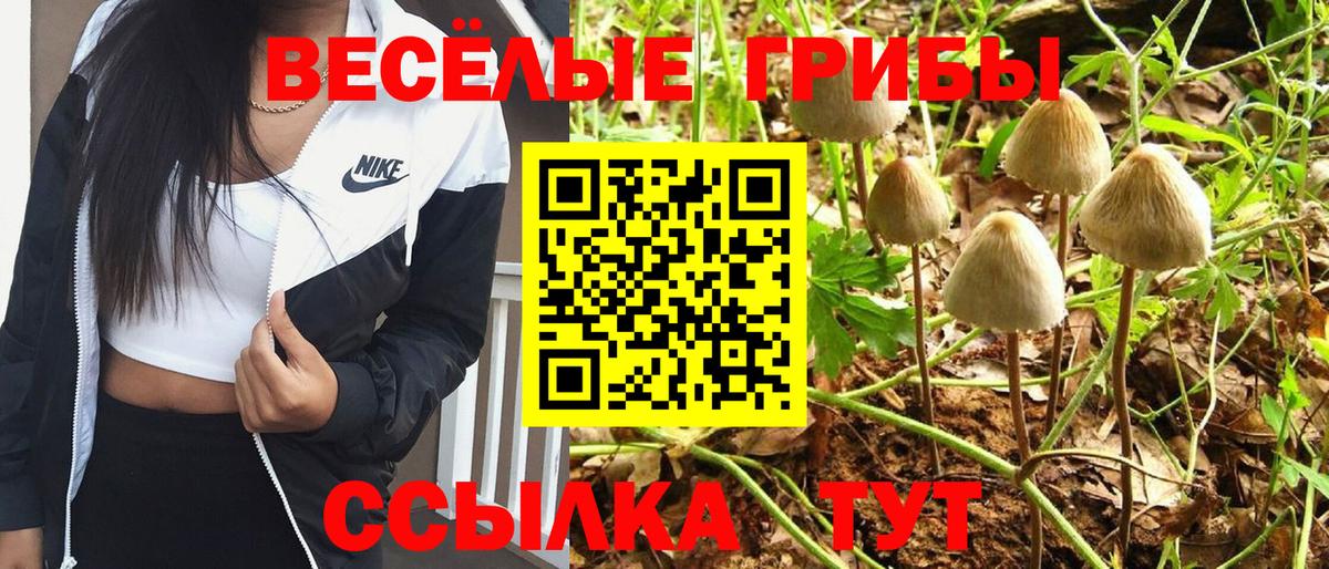 Псилоцибиновые грибы MAGIC MUSHROOMS Зеленокумск