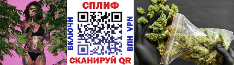 Марихуана план  Зеленокумск 